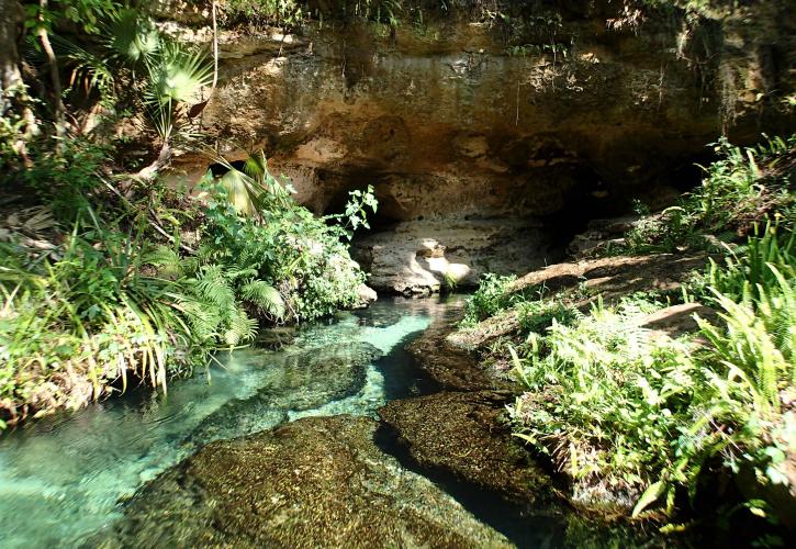Rock Springs Run State Reserve Florida State Parks